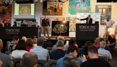 Rare works by Israeli artists Rubin, Gutman head to auction valued at $300,000