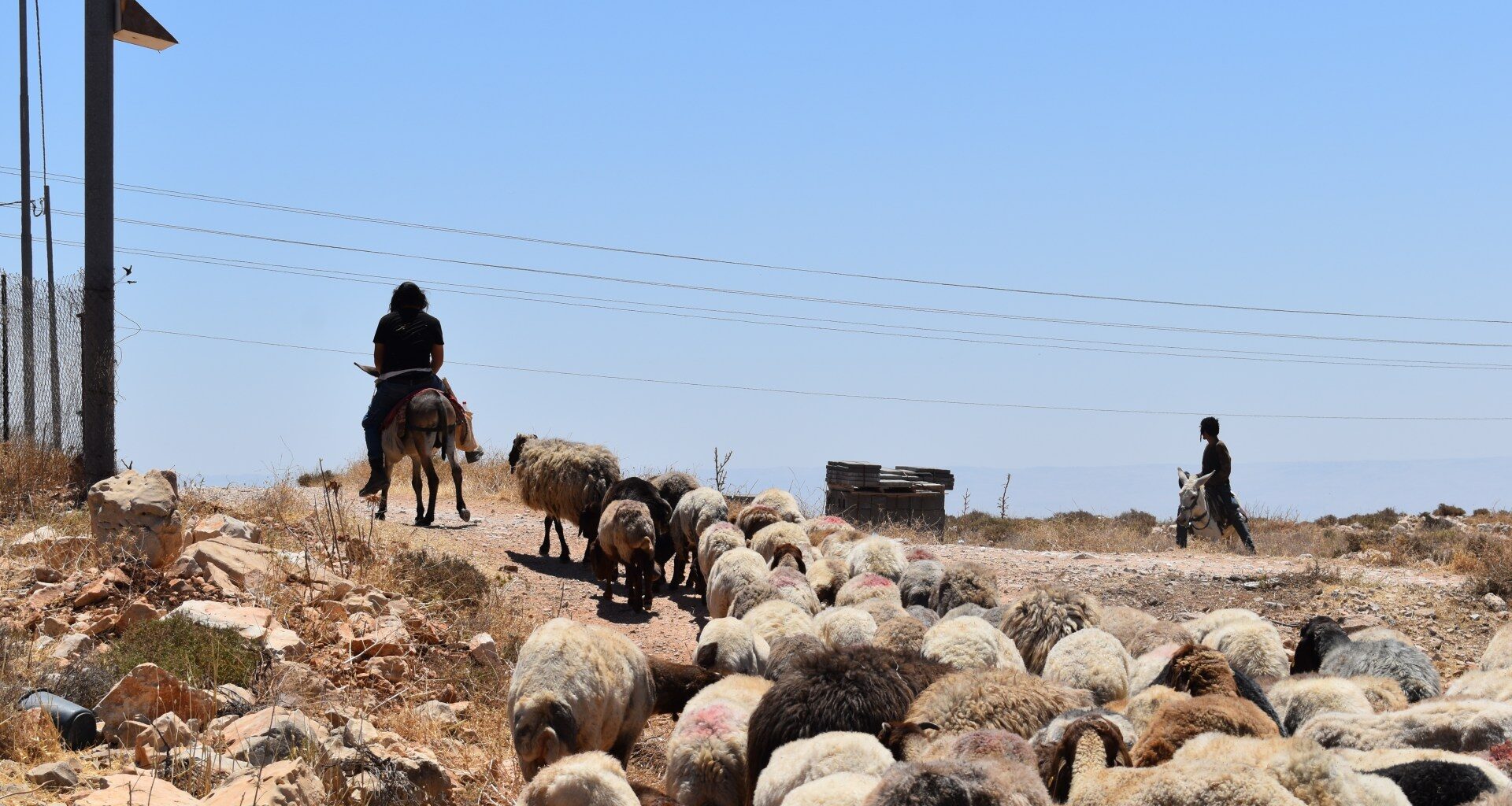 Property deeds no protection for Palestinians as settler violence spreads | Israel-Palestine conflict News