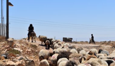 Property deeds no protection for Palestinians as settler violence spreads | Israel-Palestine conflict News