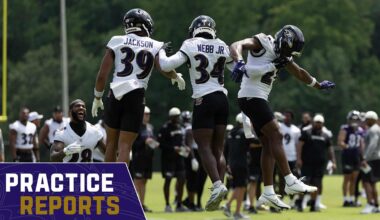 Baltimore Ravens logo