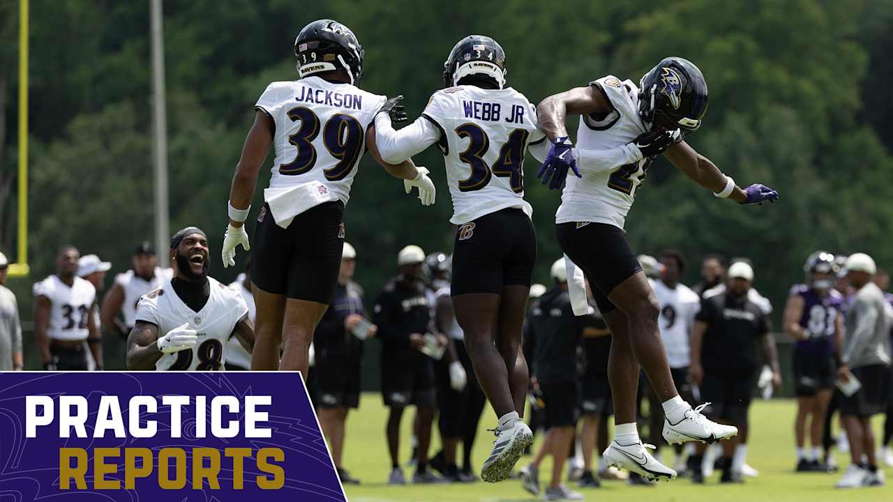 Baltimore Ravens logo