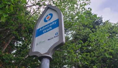 No Arrests After Man Attacks Woman on Mount Pearl Trail in Broad Daylight