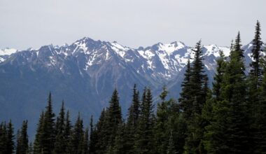 Human remains found in sleeping bag in national park identified after 26 years
