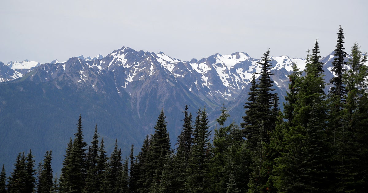 Human remains found in sleeping bag in national park identified after 26 years