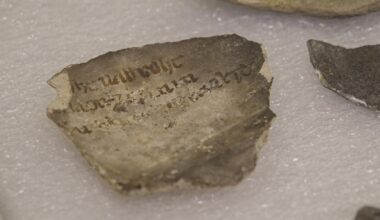 Fourth-century coin and mysterious inscriptions found under Notre Dame cathedral: "Dig of the century"
