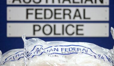 British actress accused of trying to smuggle $208 million worth of meth into Australia in charcoal bags
