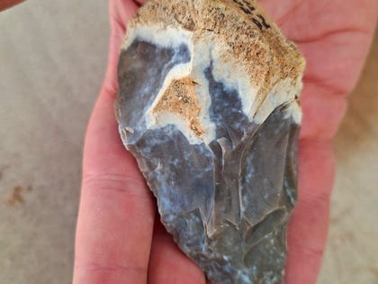 An aesthetically pleasing hand axe. Credit: Ruth Schuster An aesthetically pleasing hand axe