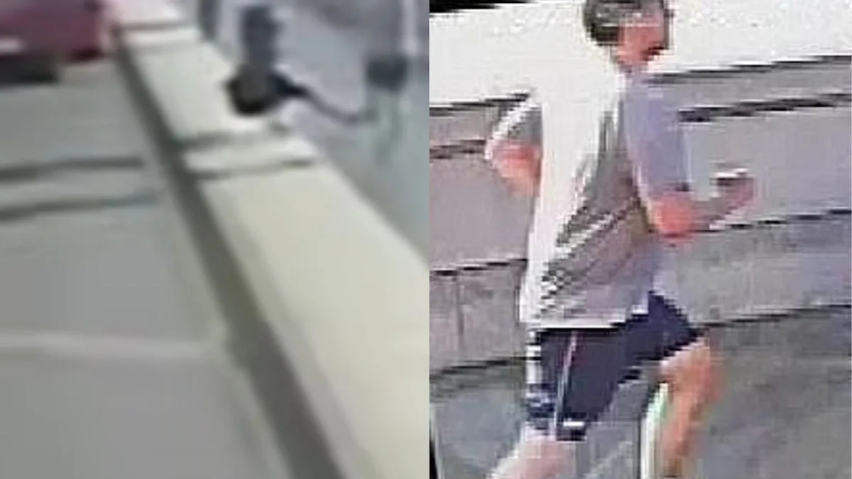 Rich Man Who Shoved Woman In Front of a Bus Has Been Arrested 9 Years Later