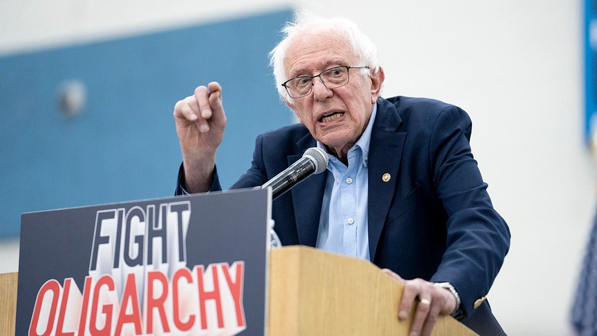 Sen. Bernie Sanders gives a speech to a crowd on lowering costs for Americans.