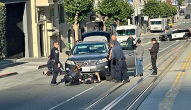 Trader Joe's theft suspect killed by car