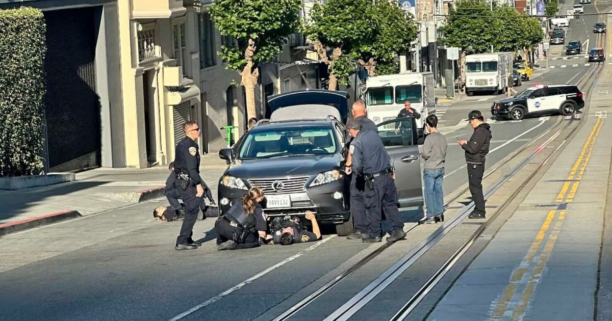 Trader Joe's theft suspect killed by car