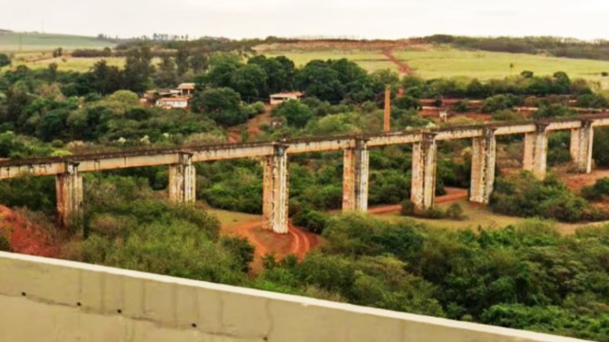 skeleton bridge