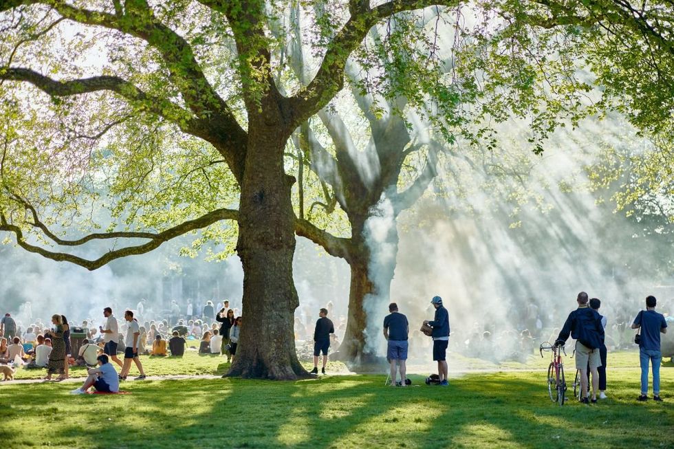 BRITISH PARK