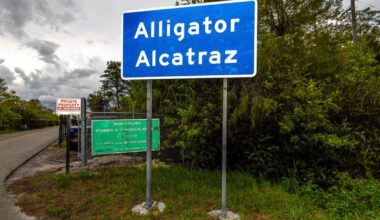 CBS News Miami investigates the cost of Alligator Alcatraz after its shutdown
