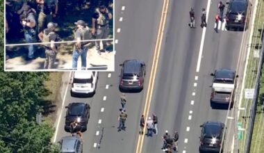 ICE agent in NJ hit by fleeing suspect in van, opens fire