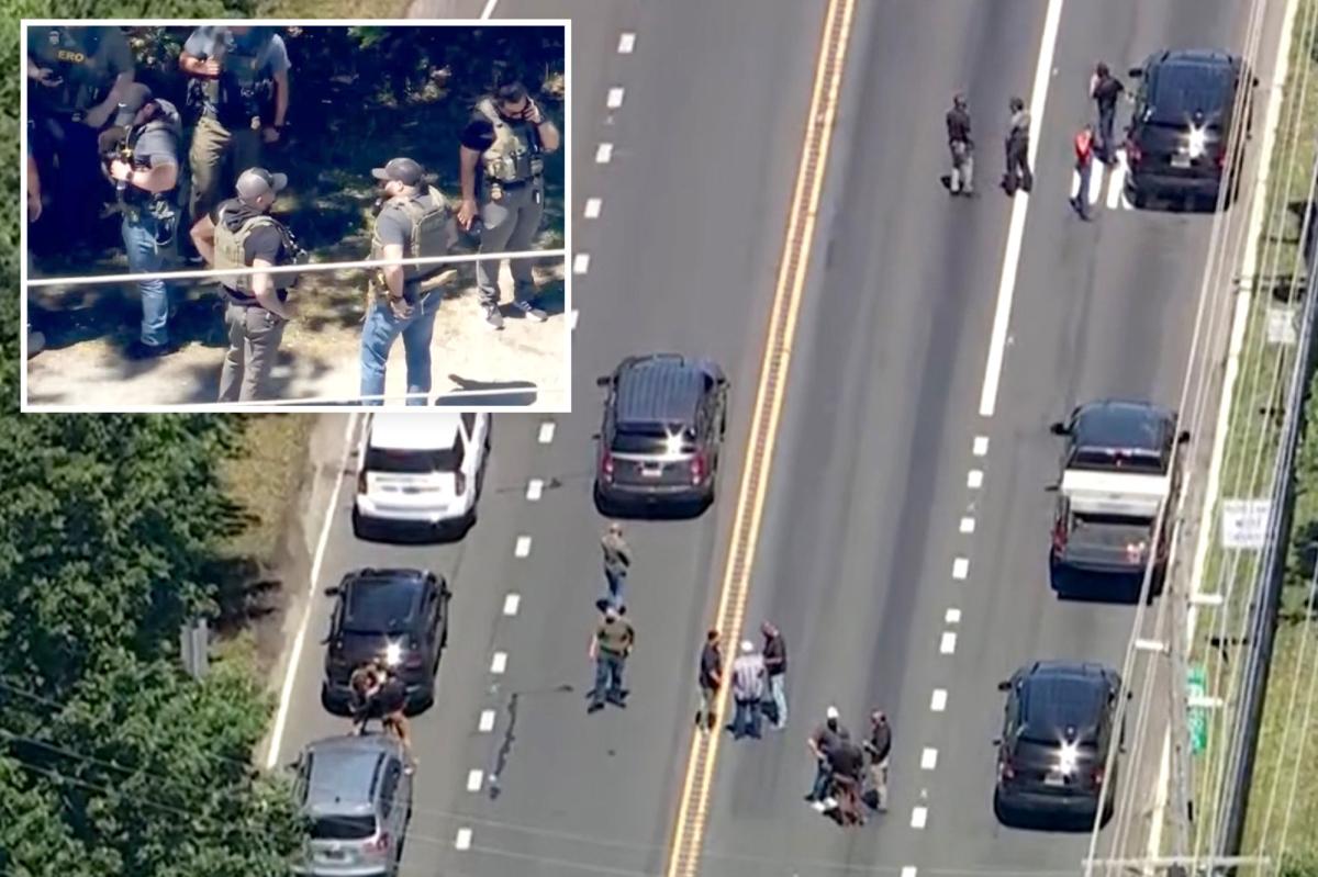 ICE agent in NJ hit by fleeing suspect in van, opens fire