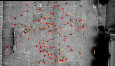 Strange Walking Experiment Found That Almost Everyone, Alone or in Crowds, Keeps Turning Counterclockwise