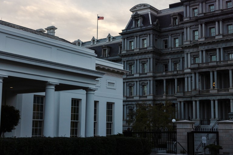 A general view of The White House in the foreground and the Eisenhower Executive Office Building flying an American flag in the background at dusk