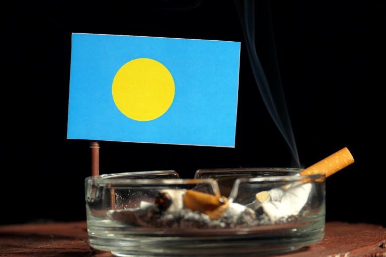 A close-up of a glass ashtray containing cigarette butts and a Palau flag visible to the side.