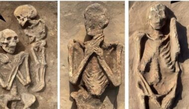 Remarkable photos show ancient human burials uncovered in Egypt, with clues to centuries of changing tradition