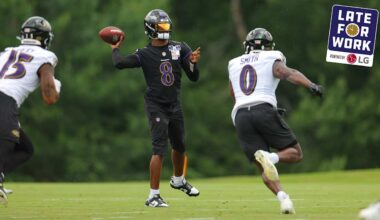 Baltimore Ravens logo