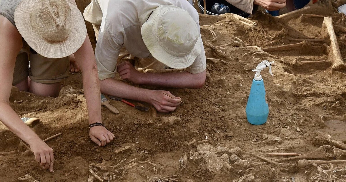 excavations.jpg