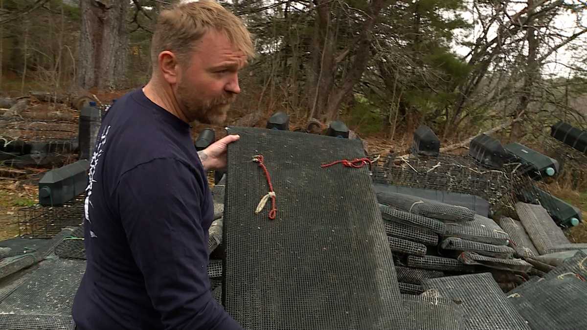 Fact-check: Is Graham Platner's Maine oyster farm 'totally fake'?