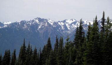 Human remains found in sleeping bag in national park identified 26 years later