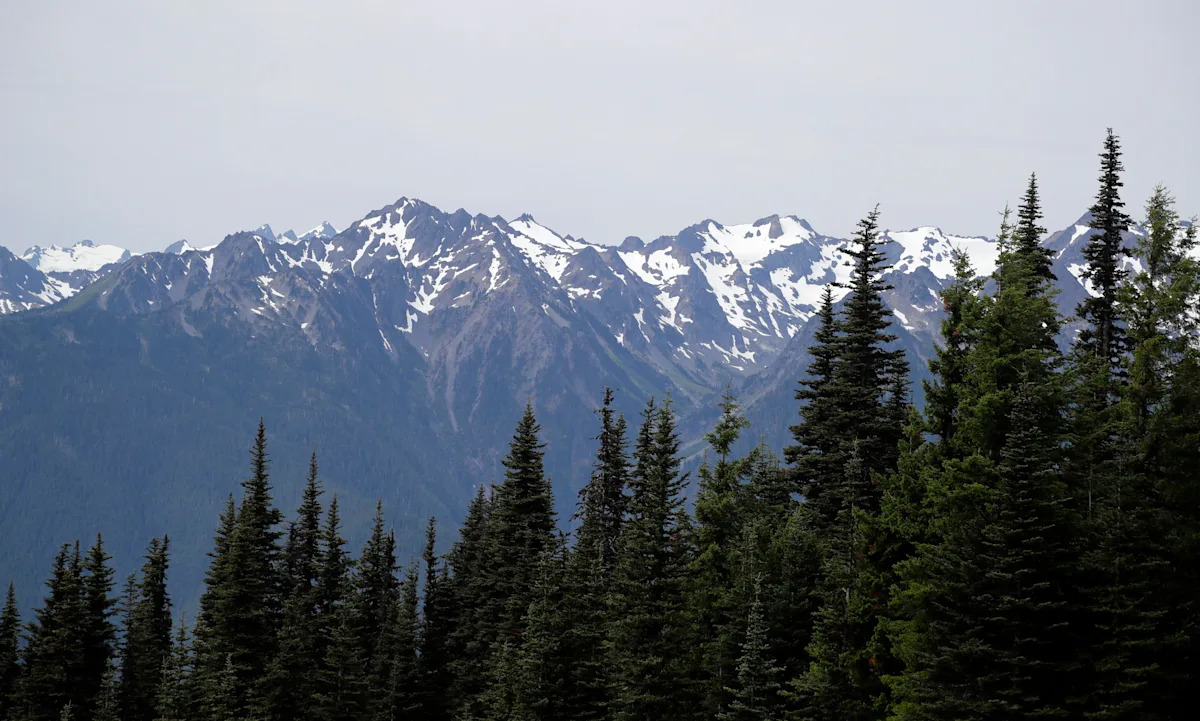 Human remains found in sleeping bag in national park identified 26 years later