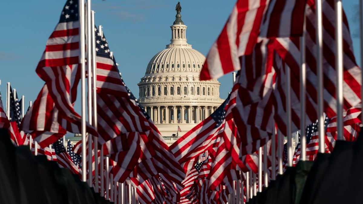 Flags are seen on the National Mall with the U.S. Capitol behind them. (AP)