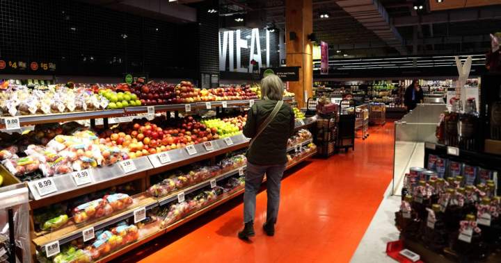 Ottawa aims to cut grocery bills with $3.2B food security strategy - National