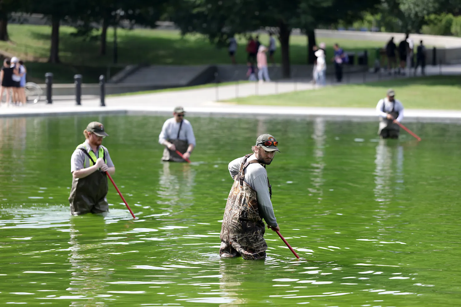 National Park Service employees work to clean up algae in the Lincoln Memorial Reflecting Pool following the completion of recent renovations on June 14, 2026 in Washington, D.C.