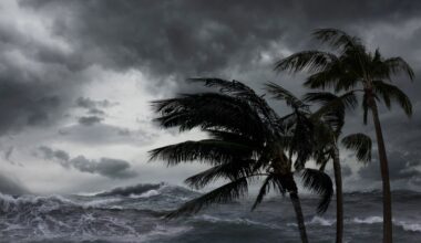 Odds of tropical development increase as disturbance edges toward Gulf