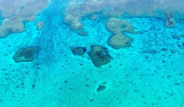 U.S. monitoring Chinese activity in South China Sea around disputed shoal