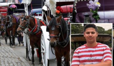 NYC bill to ban horse carriages to be renamed for teen killed in Central Park crash