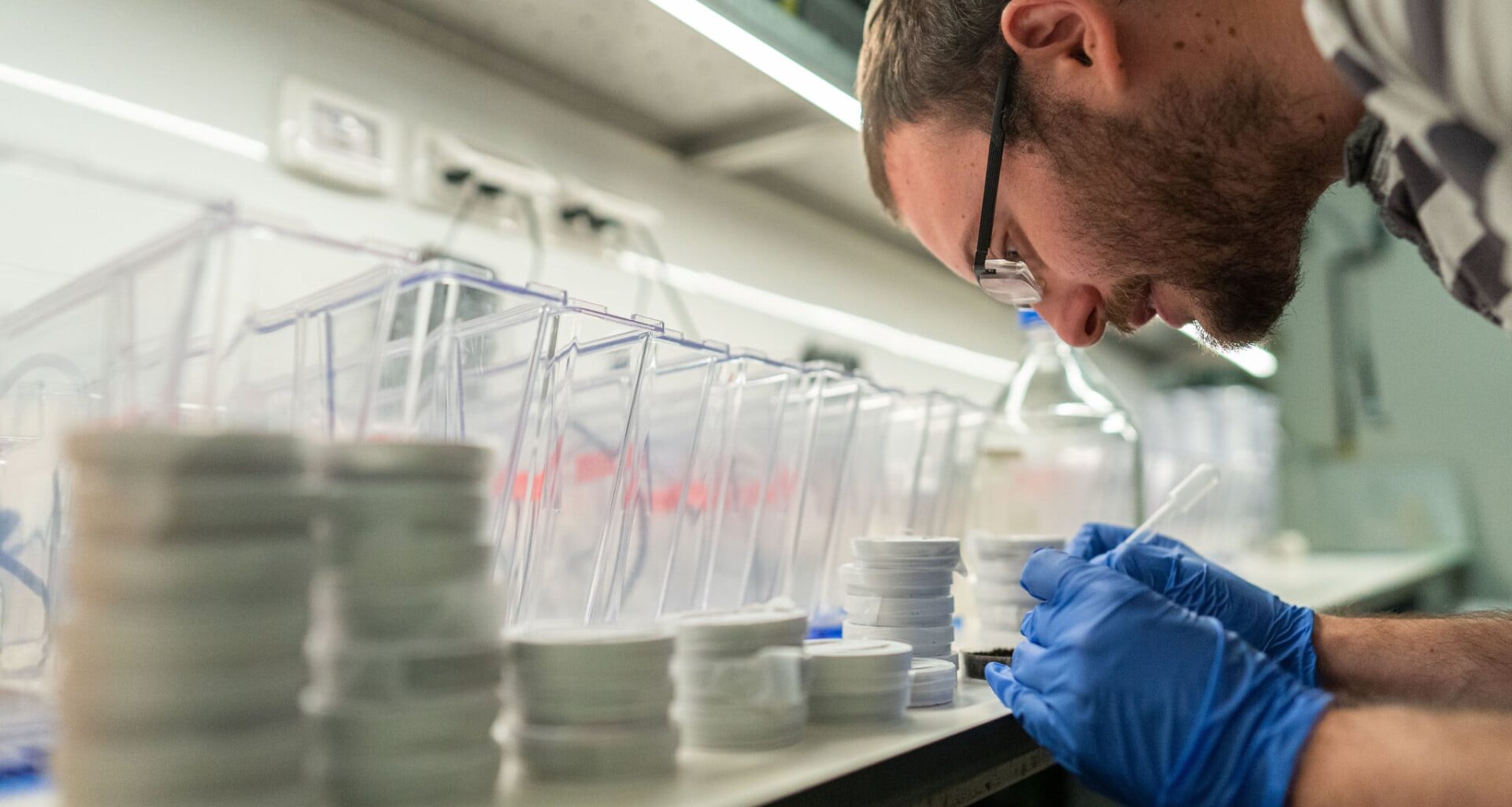 Live fast, die young: Israeli scientists link rapid-growth gene to early aging in fish