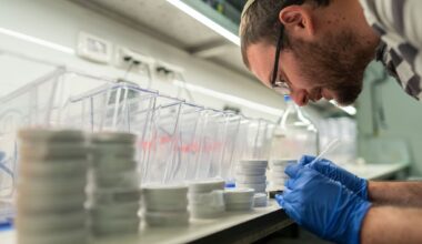 Live fast, die young: Israeli scientists link rapid-growth gene to early aging in fish