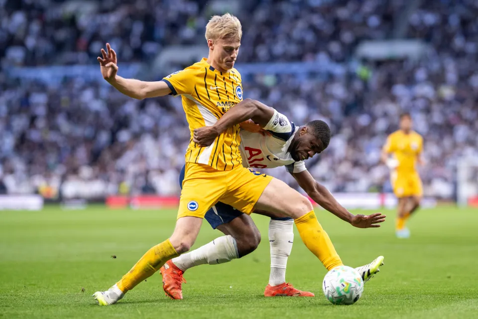 Jan Paul van Hecke in action for Brighton against Tottenham