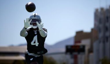 Las Vegas Raiders logo