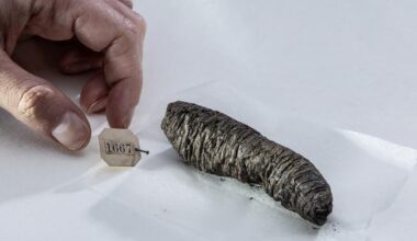 Scientists decipher new secrets from ancient scrolls scorched by Vesuvius eruption: "Finally able to read them"