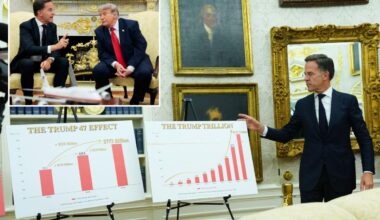 Trump cuts off NATO's Mark Rutte in Oval Office with stinging two-word comeback
