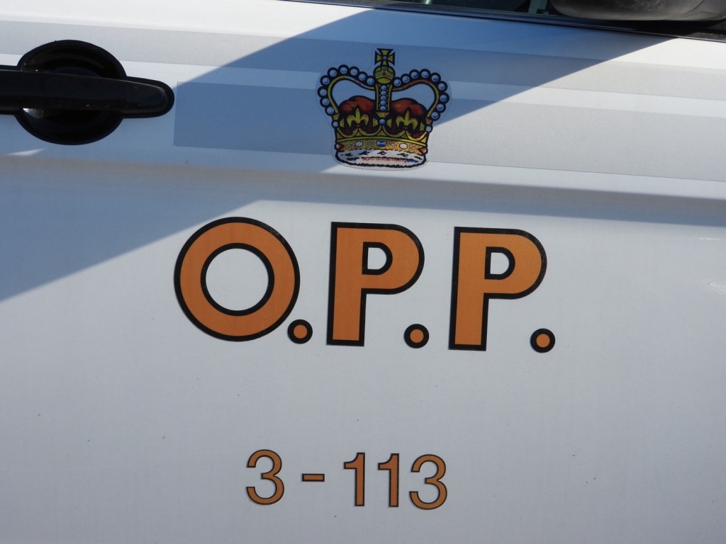 Gun shots fired in downtown Bancroft
