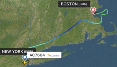 Passengers Describe Scene After Pilot Suffers Medical Emergency on PAL Operated Flight
