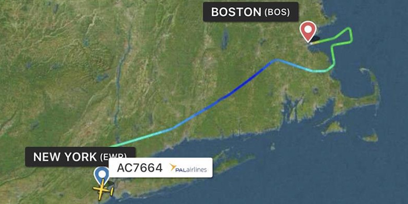 Passengers Describe Scene After Pilot Suffers Medical Emergency on PAL Operated Flight