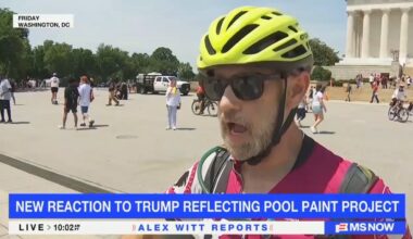 Irate DC Residents Whine About Trump's 'Stupid' Pool Revamp