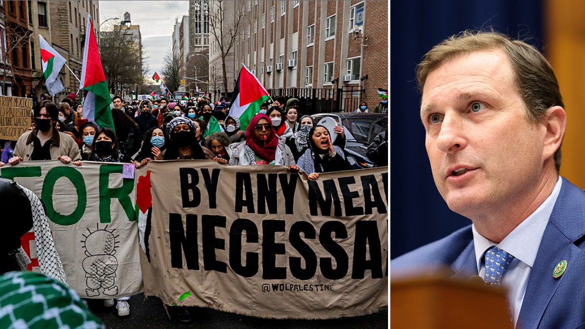 Dan Goldman standing beside an image of anti-Israel protesters.