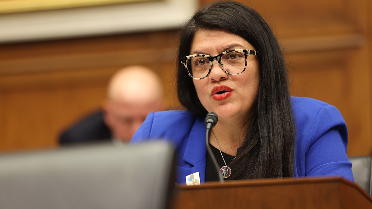 Rep. Rashida Tlaib speaking during House Financial Services Committee hearing in Washington DC