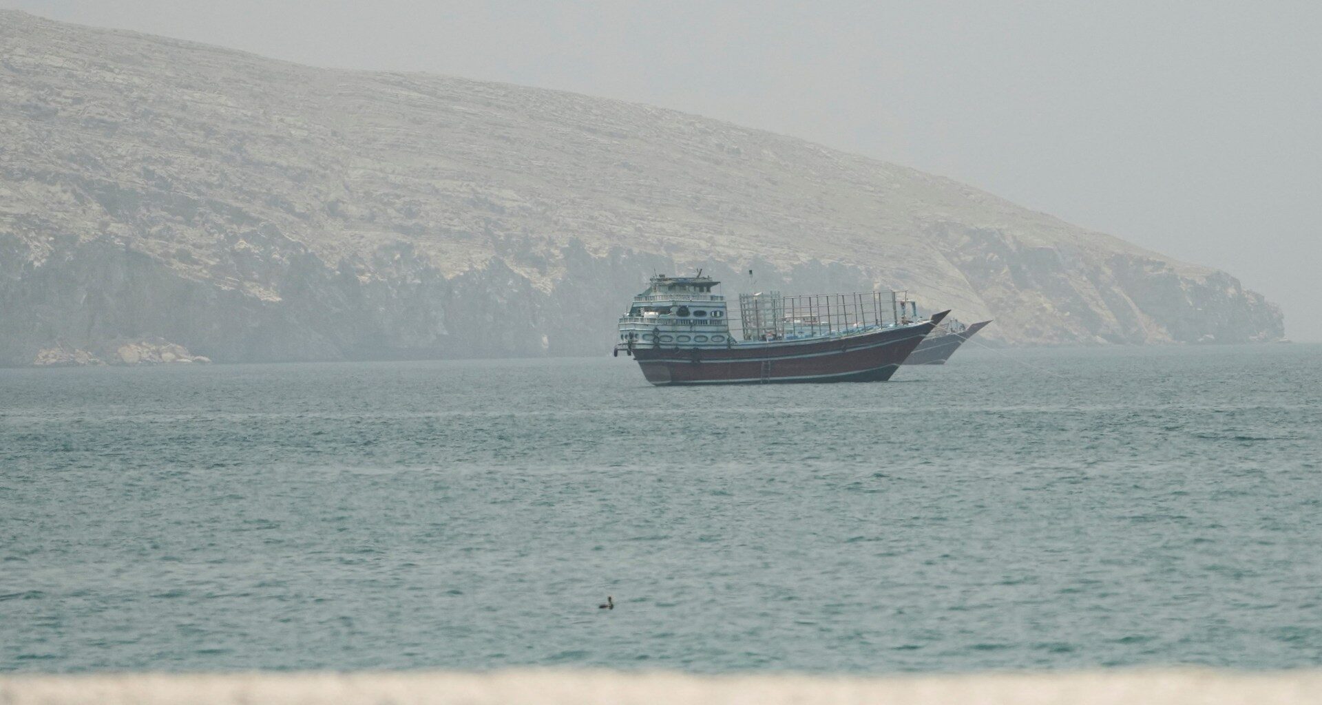UN agency pauses Hormuz ship evacuation initiative after vessel attacked | US-Israel war on Iran News