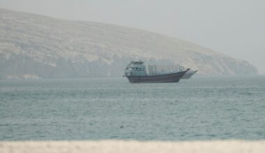 UN agency pauses Hormuz ship evacuation initiative after vessel attacked | US-Israel war on Iran News
