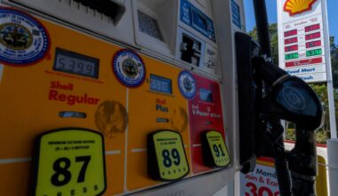 US petrol prices ease despite ongoing uncertainties with Iran | Business and Economy News